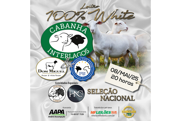 LEILAO100WHITE_quadrado_recorte